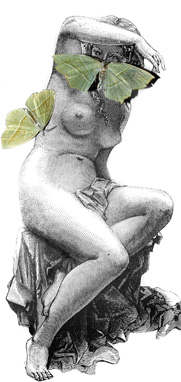 eating butterflies illustration